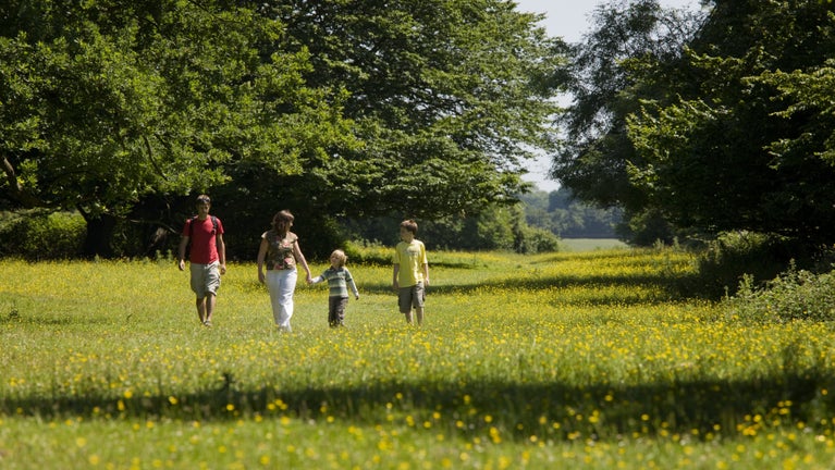 The image shows a family of two adults and 2 children walking together through a buttercup glad in Hatfield Forest.